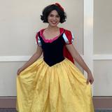 Disney Costumes | Disney Snow White Adult Costume Size Small | Color: Blue/Yellow | Size: Adult S