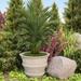 Los Angeles Cast Stone Concrete Pot Planter Concrete in Gray | 22.5 H x 30.5 W x 30.5 D in | Wayfair LACS-PL-30 1/2X22 1/2_31