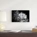 Red Barrel Studio® Dandelion Abstract I by Laura Marshall - Wrapped Canvas Photograph Canvas in Black/White | 12 H x 18 W x 1.25 D in | Wayfair