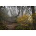 Loon Peak® Stone Steps Canvas, Wood in Green | 20 H x 30 W x 1.25 D in | Wayfair B000C3D25FA342C0A00225949C75917D