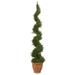 5' Cypress Artificial Spiral Topiary Tree in Terra-Cotta Planter