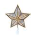 Kurt Adler 10-Inch Gold and Iridescent Lighted Star Tree Topper