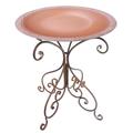 Fleur De Lis Living Birds & Beyond 19" D Terra Cotta Fiber Clay Birdbath Bowl On 25" H Bronze Metal Base Shila Coll Plastic in Brown | Wayfair