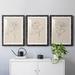 Kelly Clarkson Home Floral Contour Study I Premium Framed Matte - Ready To Hang Paper, Solid Wood in Brown | 24 H x 54 W x 1 D in | Wayfair