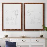 Rosalind Wheeler Limousin Cattle III - Picture Frame Painting Print Canvas/Plastic in Black/White | 20 H x 34 W in | Wayfair