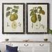 Rosalind Wheeler Vintage Pears III Premium Framed Canvas - Ready To Hang Canvas in Green/Indigo/Pink | 1.5 D in | Wayfair