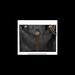 Gucci Bags | Gucci Leather Rajah Large Tote Black | Color: Black | Size: Base Length: 17.5”, H: 13.5”, W: 2.5”, Drop: 9”