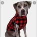 American Eagle Outfitters Dog | American Eagle Outfitters Sherpa Dog Jacket/ Sweatshirt Nwt | Color: Black/Red | Size: Large
