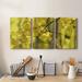 Latitude Run® Aspen Backlight- Premium Gallery Wrapped Canvas - Ready To Hang Canvas, Solid Wood in Black/Blue/Green | 60 H x 120 W x 1 D in | Wayfair