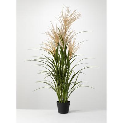 Sullivans Artificial Potted Agave Reed 48"H Green - 48"H x 32"L x 32"W