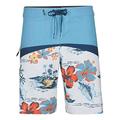 O'Neill Men's PM Hyperfreak Boardshorts Swim Briefs, Blue All Over Print, 32