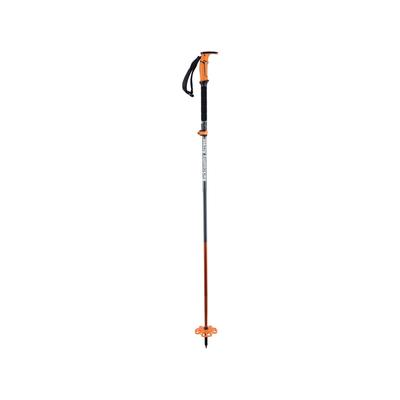 Backcountry Access Scepter 4S Pole Raw C2005008010