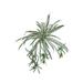 Primrue 2 - Piece 18" Artificial Fern Plant Set Silk/Plastic | 18 H x 40 W x 3 D in | Wayfair EB88468077BA44AEBA84FEF3DF4C8586