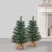 The Holiday Aisle® Pine Cashmere Christmas Tree in Green | 18 W x 18 D in | Wayfair C912BFC34E4E47BB86EE3751F8764F27