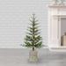 The Holiday Aisle® Green Realistic Artificial Pine Flocked Christmas Tree w/ LED Lights, Wood in White | 21 D in | Wayfair