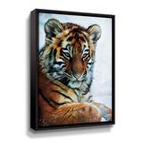 Bungalow Rose Siberian Tiger Cub Stare Down by Aldridge - Graphic Art on Canvas Canvas/Metal in Green/Orange | 32 H x 24 W x 2 D in | Wayfair