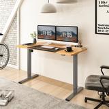 FlexiSpot 55"x28" Electric Ergonomic Home Office Height Adjustable Standing Desk 2-Button Computer Desk Varaint Color