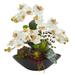 Phalaenopsis Orchid and Mixed Succulent Garden Artificial Arrangement in Black Vase