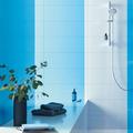 GROHE 266022430 Rainshower 24-Inch Slide Bar w/ Adjustable Handheld Shower Head Holder in Gray | 24.8125 H x 5.5 W x 5.5 D in | Wayfair 26602000