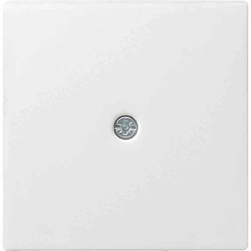 Gira System 55 Zentralplatte, Kabelauslass, reinweiß, Befestigung mit Schraube, ohne Beschriftungsfeld, 27403 Image