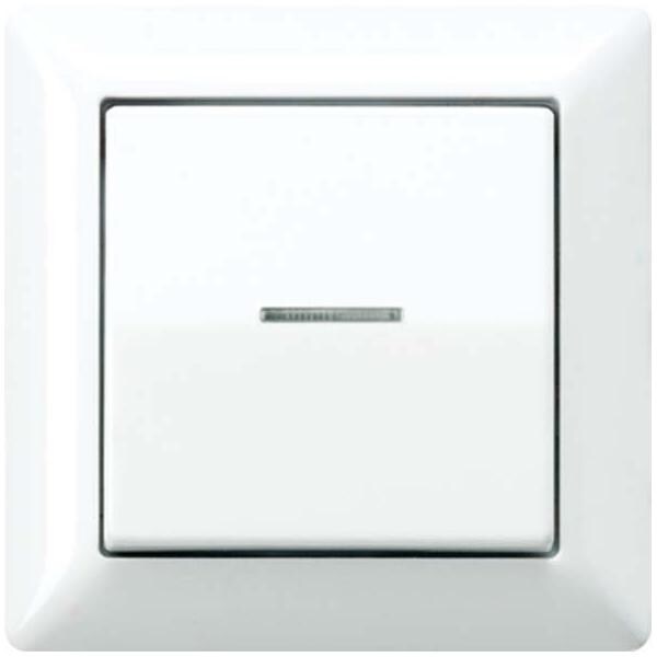 Jung Abdeckung Lichtleiter aws AS 590 KO5 WW AS590KO5WW Image