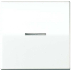Jung Wippe Lichtleiter ws AS 591 KO5 AS591KO5 Image