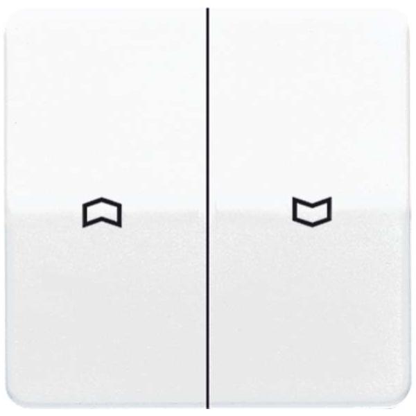 Jung Wippe Symbole sw CD 595 P SW CD595PSW Image