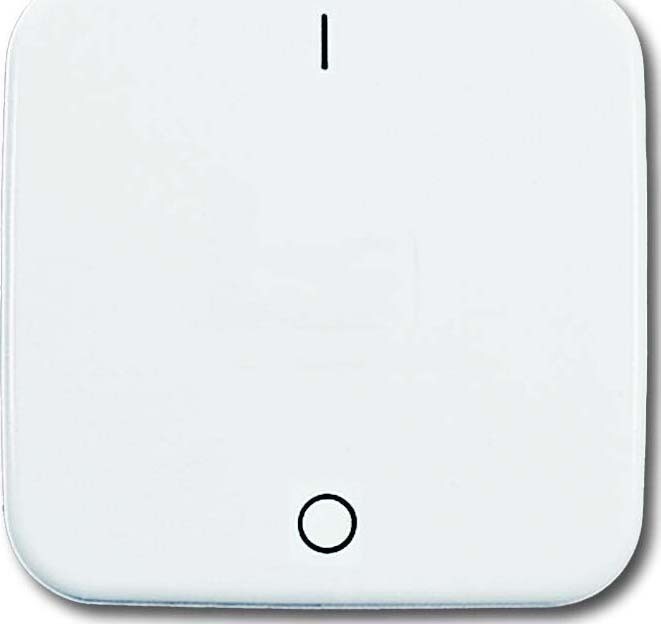 Busch-Jaeger Wippe aws 2502-214 2CKA001731A0884 Image