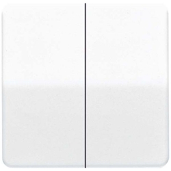 Jung Wippe aws CD 595 WW CD595WW Image