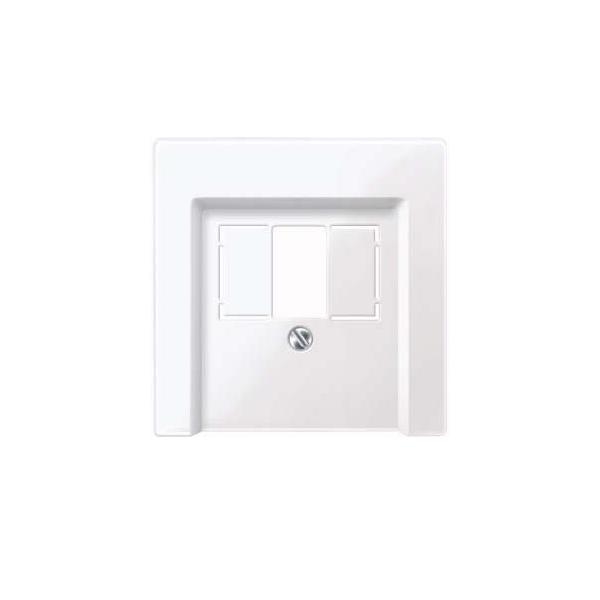 Merten Zentralplatte aws/gl 296025 Image