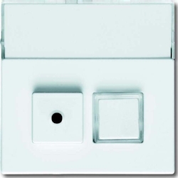 Busch-Jaeger Zentralscheibe sws 1572 CN-84 2CKA001582A0348 Image