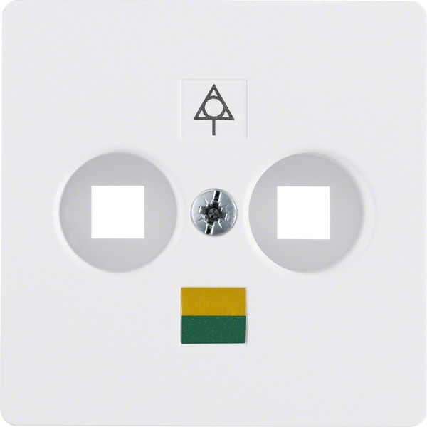 Berker Zentralplatte pws 14031909 Image