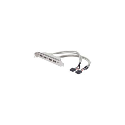 DIGITUS Assmann USB-Konsole 10 PIN IDC W bis USB W 25 cm geformt Beige