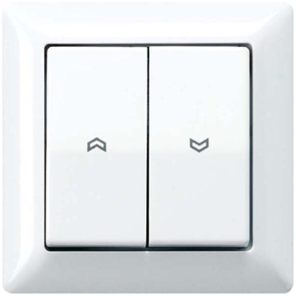 Jung Abdeckung Symbole aws AS 590-5 P WW AS590-5PWW Image