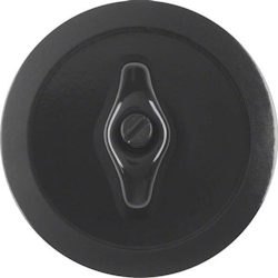 Berker Zentralstück mit Knebel 164701 Image