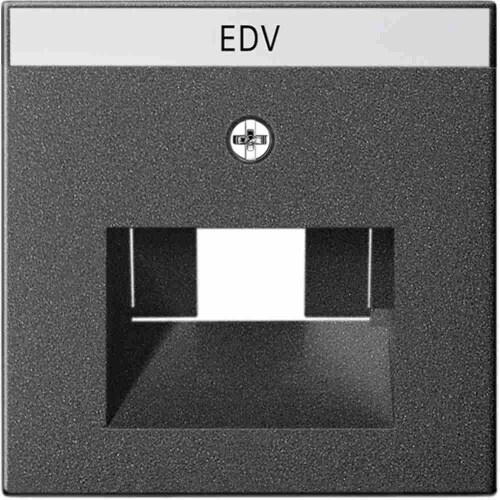 Gira System 55 Zentralplatte, UAE/IAE, 3f, anthrazit, Befestigung mit Schraube, mit Beschriftungsfeld, 28428 Image