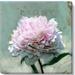 Darren Gygi Home Collection Peony Giclee Wall Art by Darren Gygi - Wrapped Canvas Print Canvas | 20 H x 20 W x 10 D in | Wayfair 181-L-2020