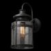 Globe Electric Company Apollo 1-Light Bronze Outdoor Wall Sconce w/ Seeded Glass Shade Aluminum/Glass/Metal in Black/Gray | Wayfair 44791