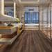 Parkay Floors XPR Laguna Sound 7" x 48" x 5.2mm Luxury Vinyl Plank in Brown | 5.2 H x 7 W x 48 D in | Wayfair XPR-PARLAGRUS-S