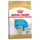 2x12kg Puppy Golden Retriever Royal Canin Breed Dry Dog Food