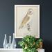 Loon Peak® Barn Owl Premium Framed Canvas - Ready To Hang Canvas in Brown | 38 H x 28 W x 1 D in | Wayfair A85D30C926124FA9A15DF109FC04C7D7