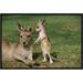 East Urban Home 'Eastern Gray Kangaroo Mother w/ Joey, Australia' Photographic Print, Wood in Brown/Green | 12 H x 18 W x 1.5 D in | Wayfair