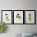 Red Barrel Studio® Pretty Pink Botanicals II Premium Framed Print - Ready To Hang Canvas, in Black/Blue/Green | 24.5 H x 55.5 W x 1 D in | Wayfair