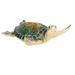 Bayou Breeze Cardoso Sea Turtle Swimming Figurine Resin in Green/Gray | 2.5 H x 6 W x 3.25 D in | Wayfair C62C60E6CC96440C86792883A36780C0