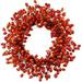 The Holiday Aisle® Frosted Berry Branch 20” Silk Wreath Silk in Red | 20 H x 20 W x 20 D in | Wayfair 93F107DA63E142AA84D571553CA51C8C