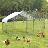 Tucker Murphy Pet™ Walk In Chicken Run For Up To 72 Chickens Metal | 78.84 H x 118.8 W x 118.8 D in | Wayfair 95AB8F0959874BBEA86691CF3CAF72AA