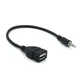Adaptateur Audio de voiture MM à USB câble Aux Jack mâle convertisseur de Charge OTG Audio de