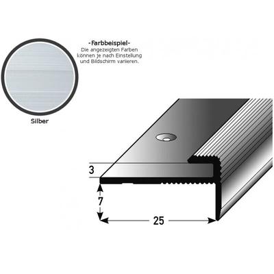 Einschubprofil 'Eyeries' mit Nase für Designbeläge, Einfasshöhe 3 mm, Aluminium eloxiert, Image