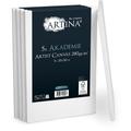 Artina - Lot de 5 Toile à peindr 280gm² Akademie Certifiées fsc 30x20x8.75 cm