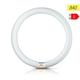 Philips - 28474715 Ampoule G10q 40W 840 3200lm master tl-e Circular Super 80 Blanc Froid